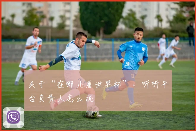 关于“在哪儿看世界杯”，听听平台负责人怎么说