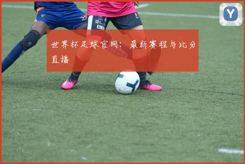 世界杯足球官网：最新赛程与比分直播