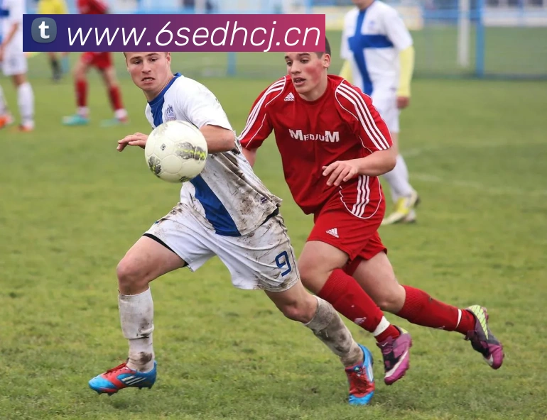 mksports在线登录入口发展历程